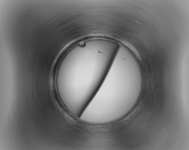 X0000115840976200911131103