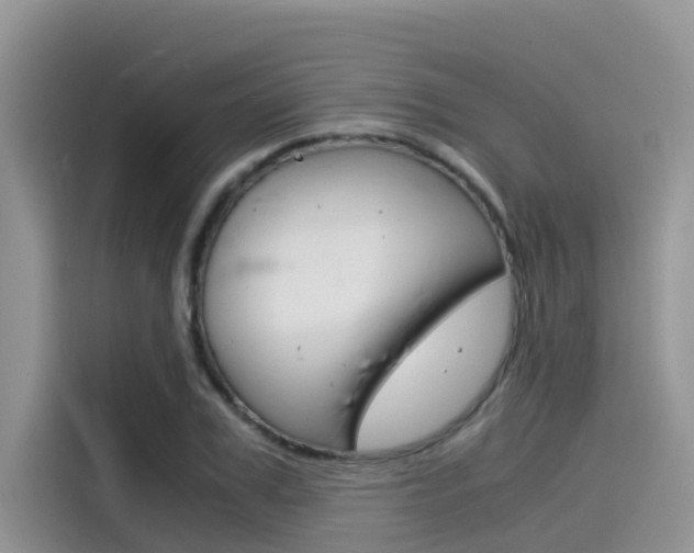 X0000115840979200911131103