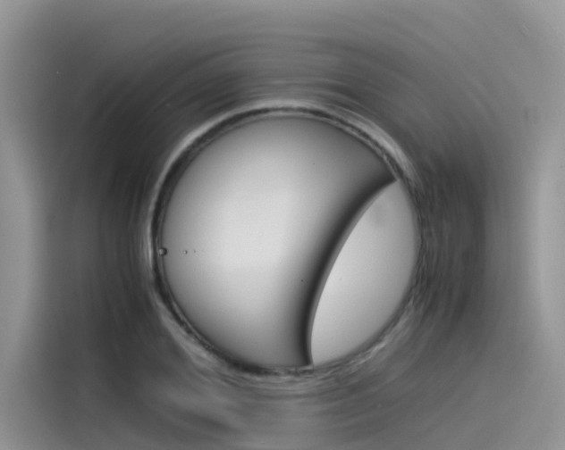 X0000115840980200911131103