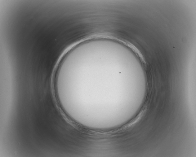 X0000115840981200911131103