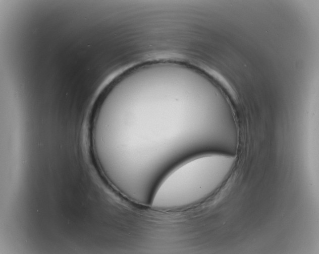 X0000115840983200911131103