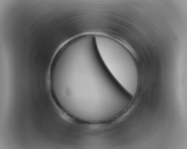 X0000115840988200911131103
