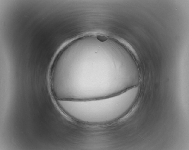 X0000115840989200911131103