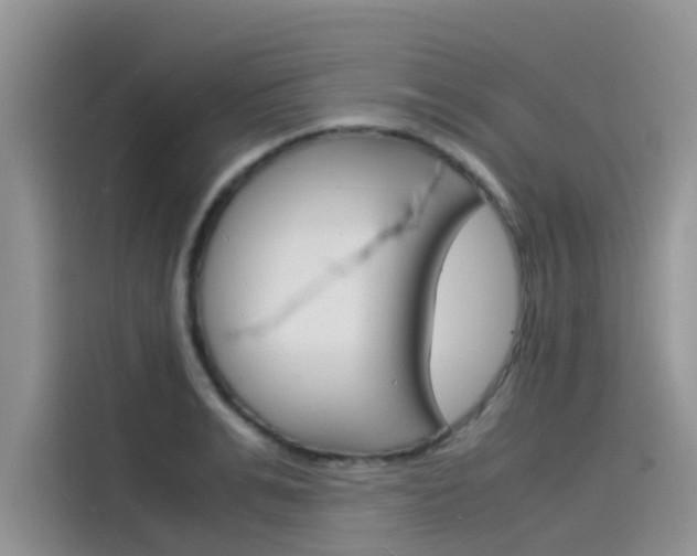 X0000115840991200911131103
