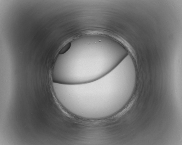 X0000115840993200911131103