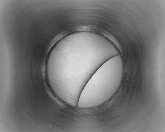 X0000115840994200911131103