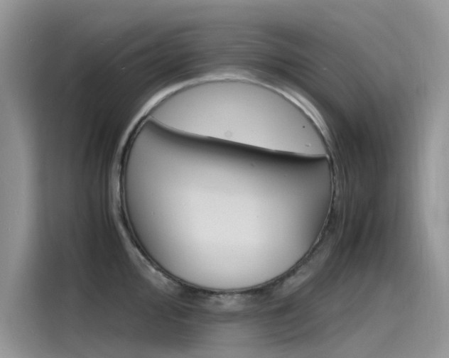X0000115841000200911131103
