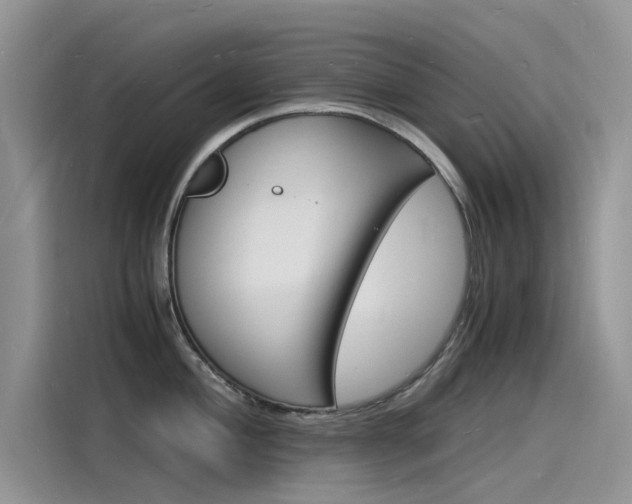 X0000115841004200911131102