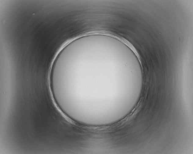 X0000115841005200911131102