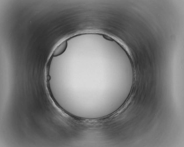 X0000115841006200911131102