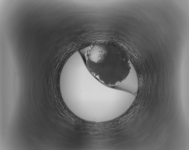 X0000115841009200911131102
