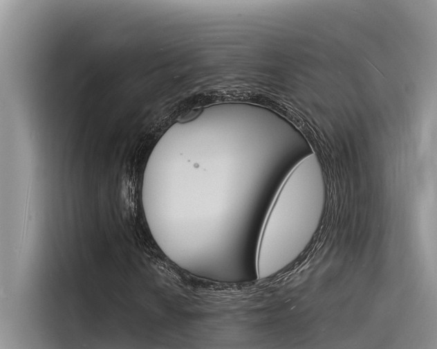 X0000115841010200911131102