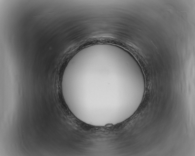 X0000115841014200911131102