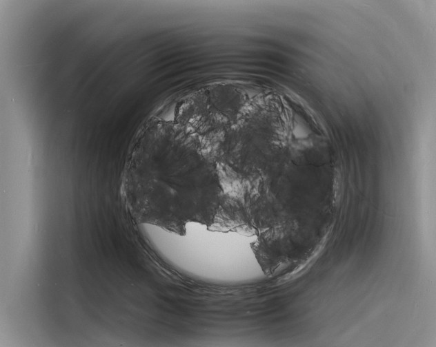 X0000115841017200911131102
