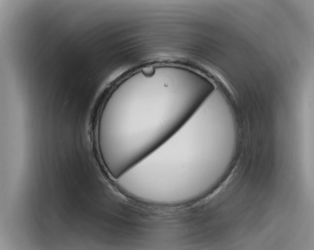 X0000115841018200911131102