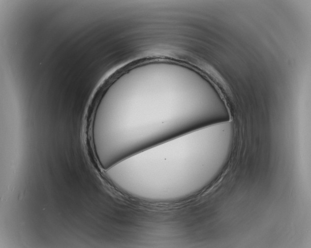 X0000115841020200911131102