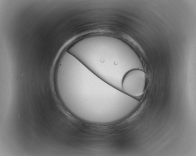 X0000115841029200911131102