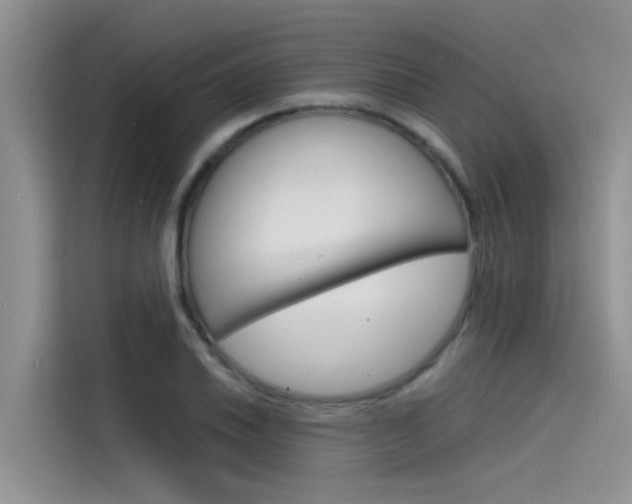 X0000115841030200911131102