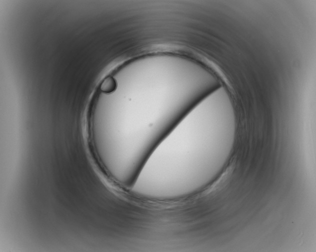 X0000115841034200911131102