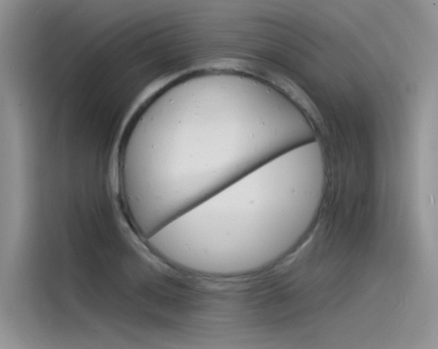 X0000115841036200911131102