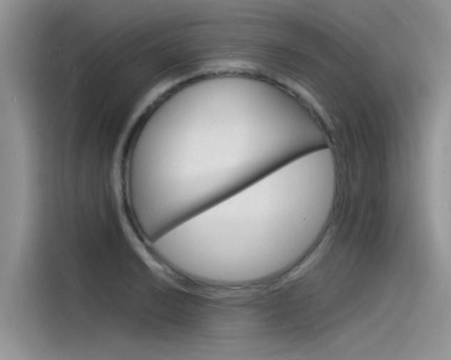 X0000115841038200911131102