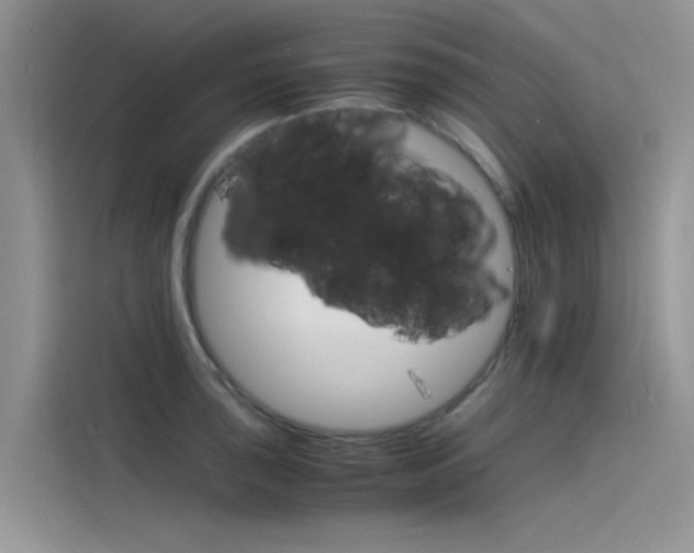 X0000115841043200911131102
