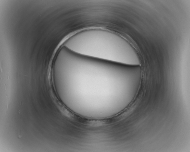 X0000115841044200911131102