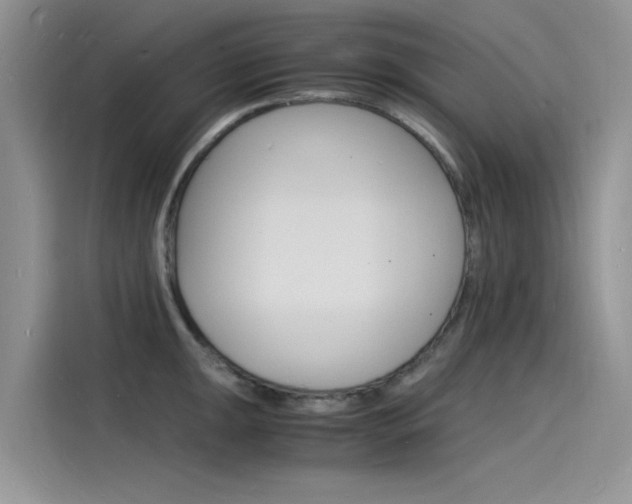 X0000115841047200911131102