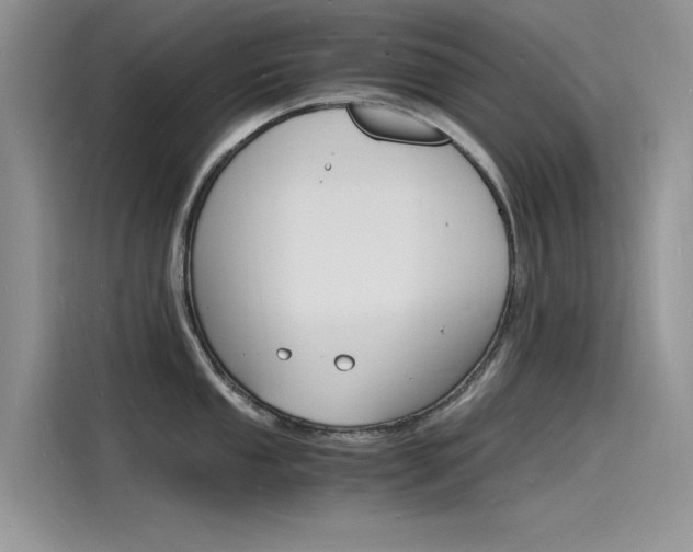X0000115841053200911131102