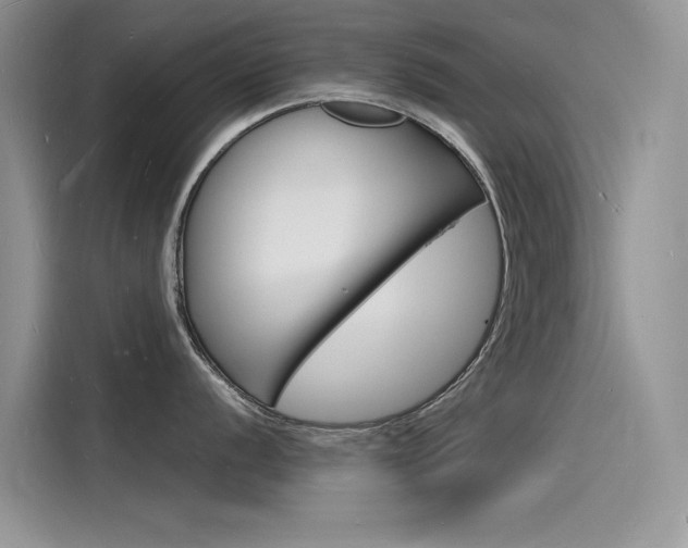 X0000115841056200911131102