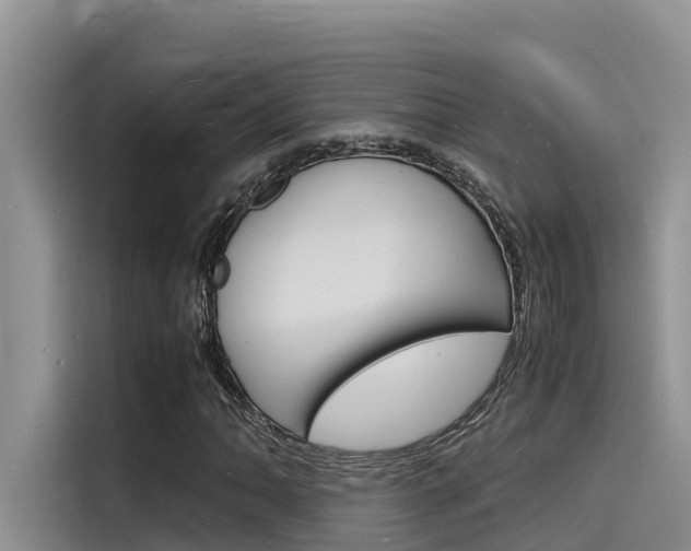 X0000115841062200911131102