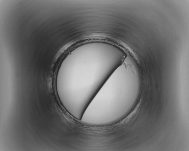 X0000115841066200911131102