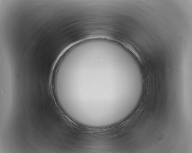 X0000115841068200911131102