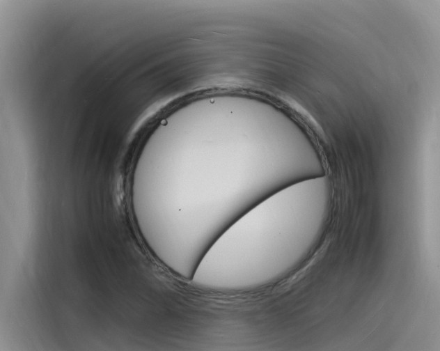 X0000115841070200911131102