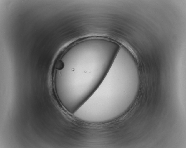 X0000115841072200911131102
