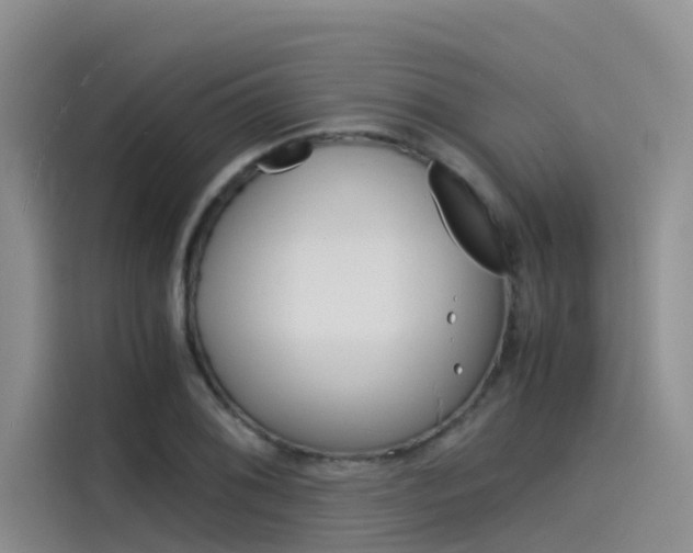 X0000115841076200911131101
