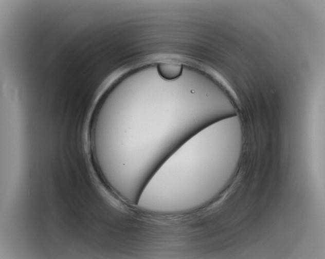 X0000115841082200911131101