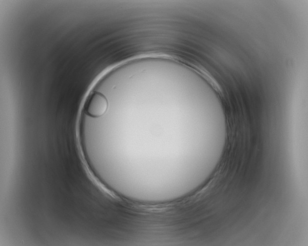 X0000115841084200911131101