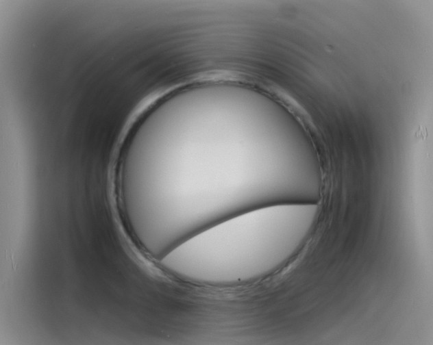 X0000115841086200911131101