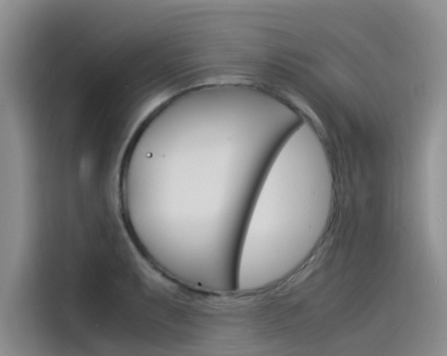 X0000115841087200911131101