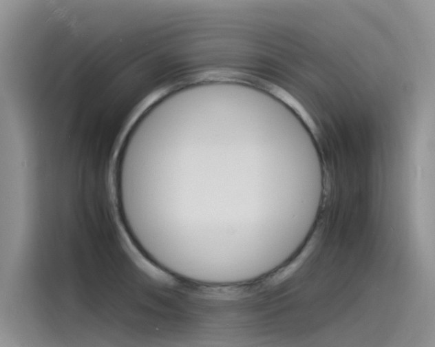X0000115841090200911131101