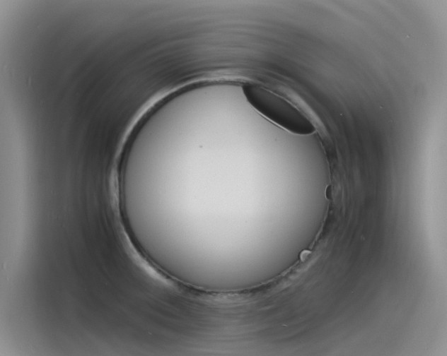 X0000115841092200911131101
