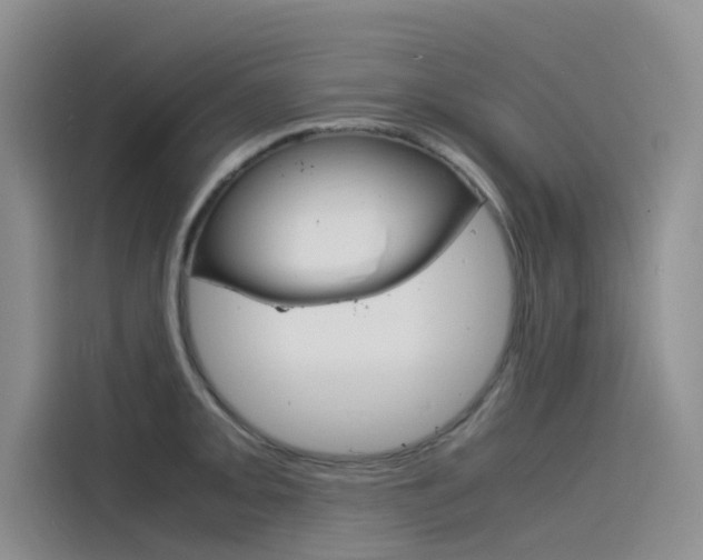 X0000115841093200911131101