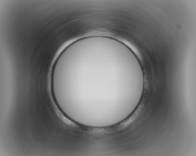 X0000115841094200911131101