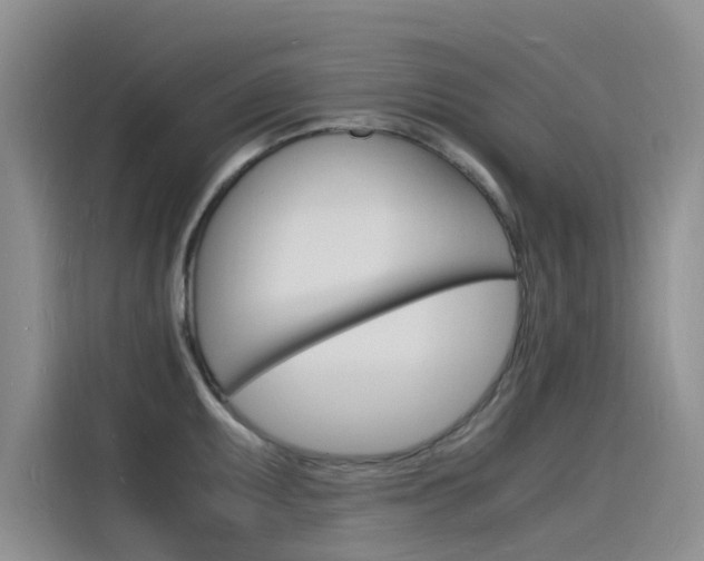 X0000115841095200911131101