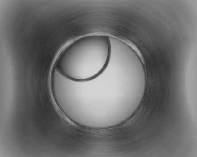 X0000115841096200911131101