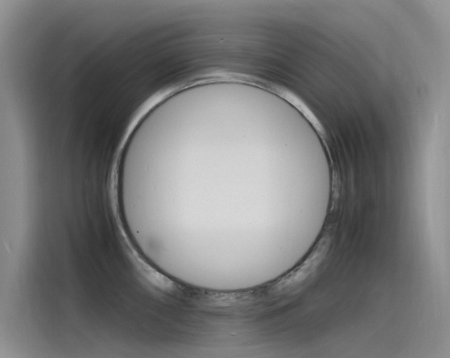 X0000115841098200911131101