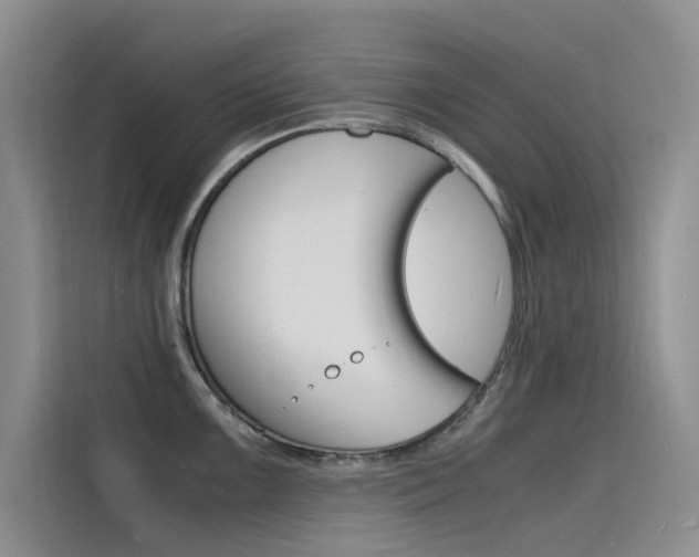 X0000115841099200911131101