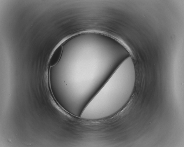 X0000115841100200911131101