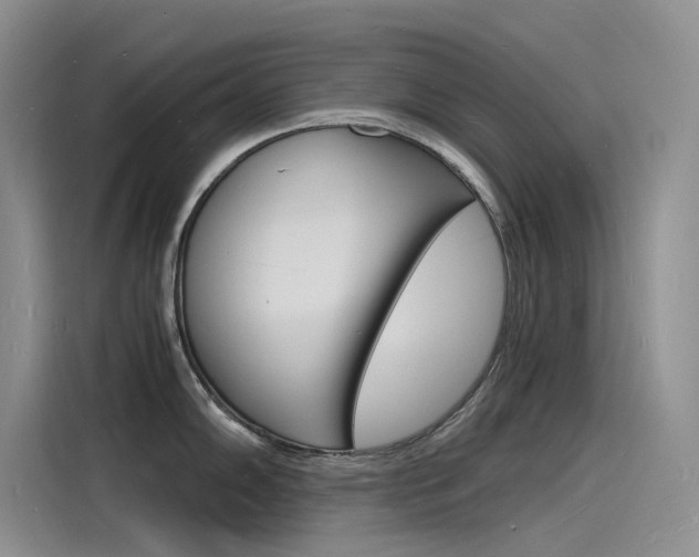 X0000115841102200911131101